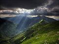 Nature (59)